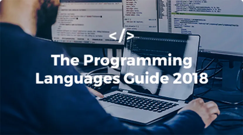 The SA Programming Languages Guide 2018