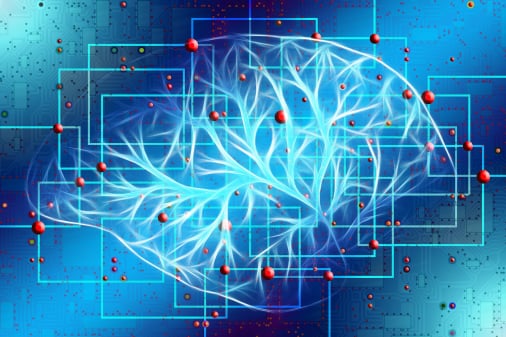 A schematic drawing of neurons in a brain 