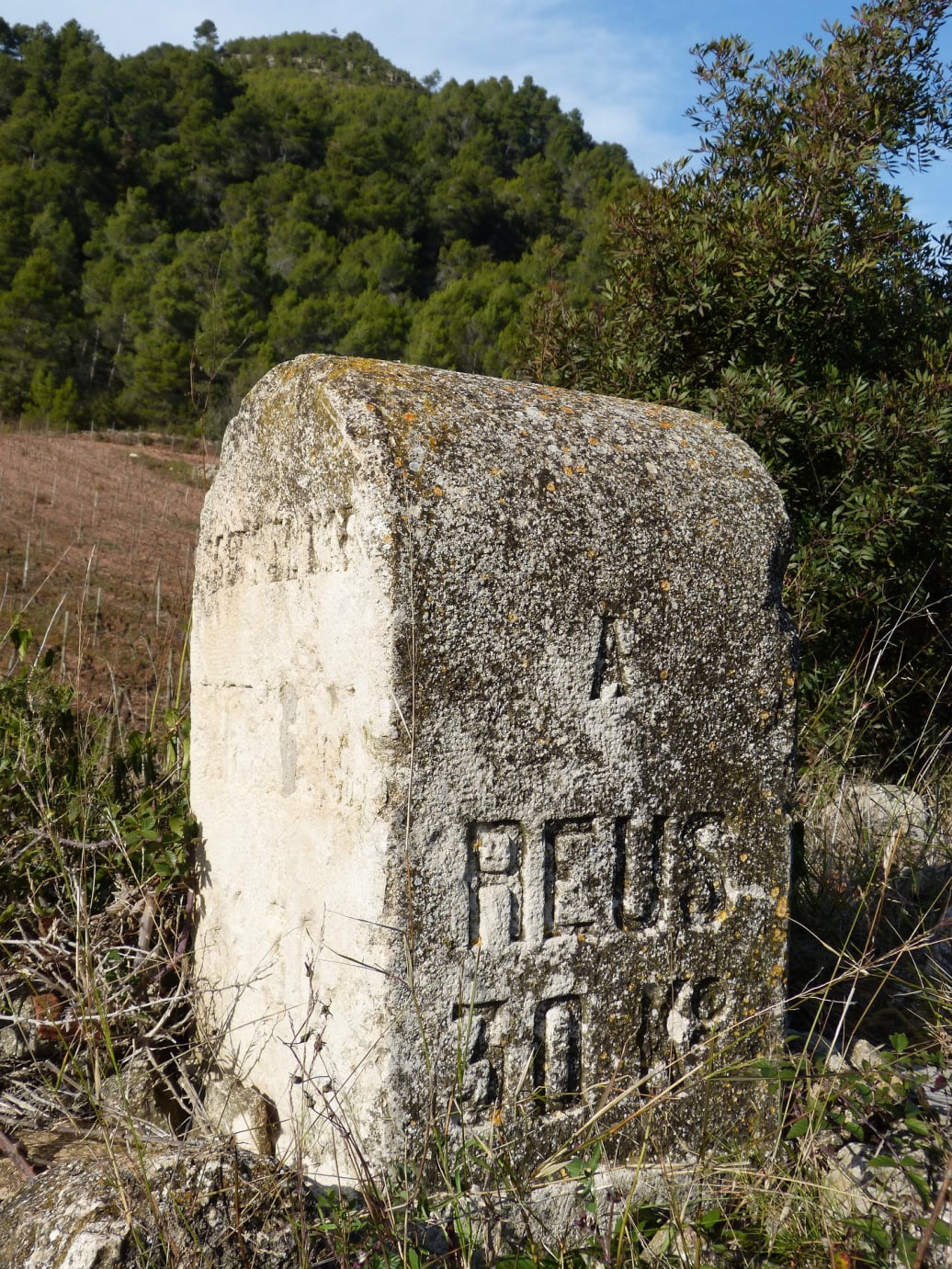 A milestone in the countryside.