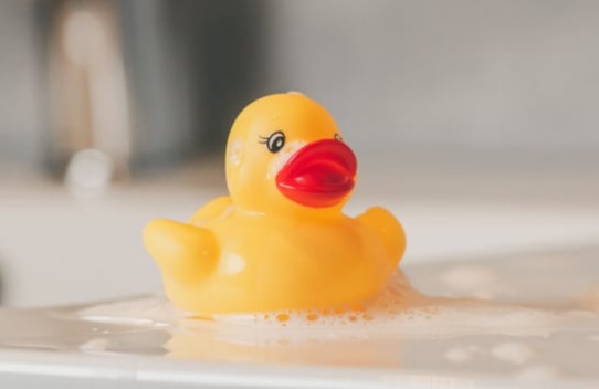 A yellow rubber duck.